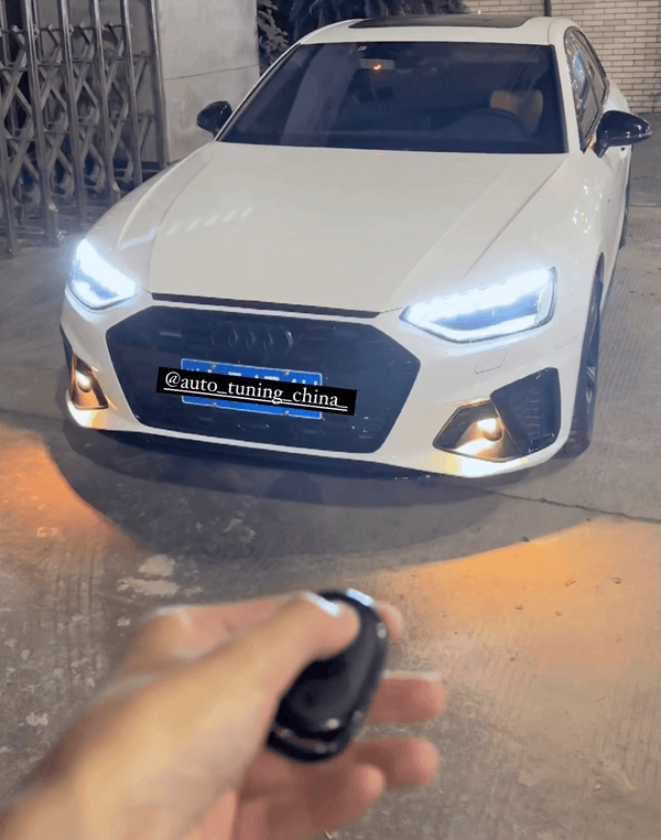 Auto Partsโข BlazeLED Remote Control auto-partstm-blazeled-remote-control-auto-parts-1