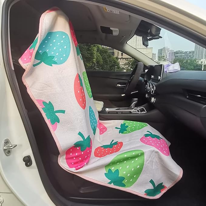 Car Seat Covers — Front Seat