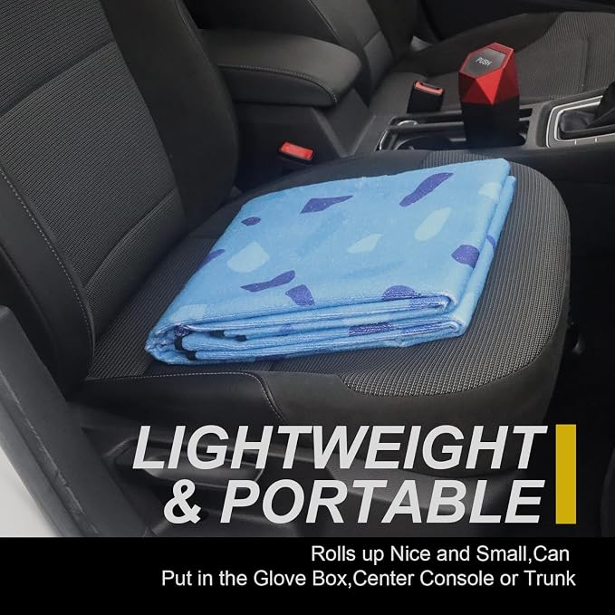 Pet Car Seat Protector — Blue