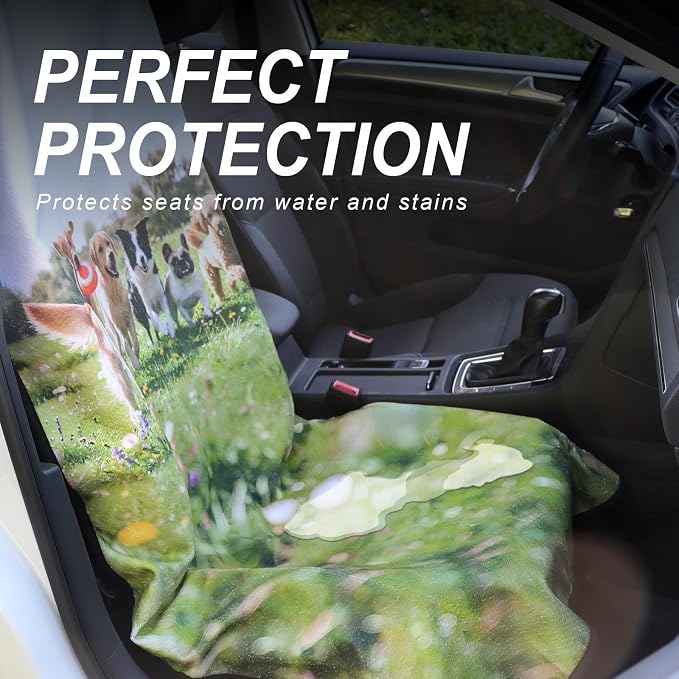 Car Seat Covers — Front Seat