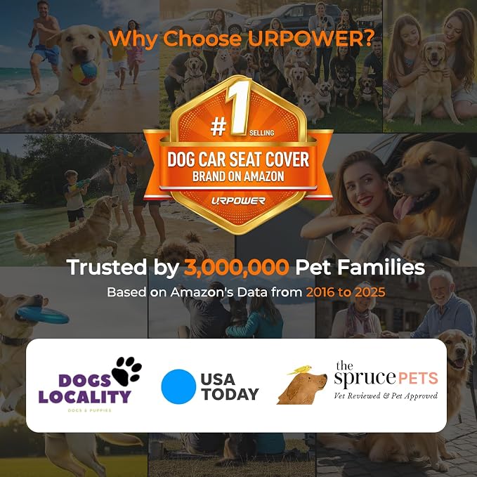 Pet Car Seat Protector — Black