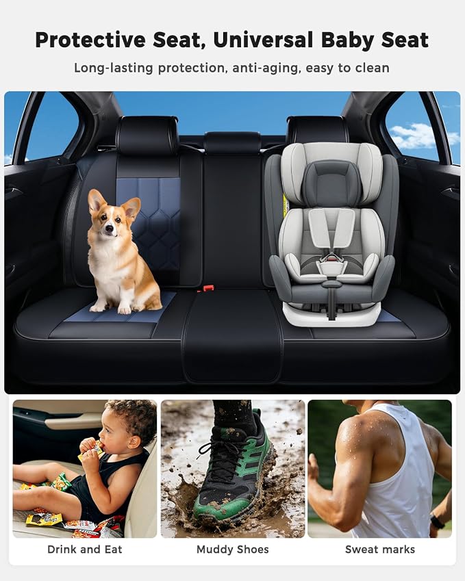 Universal Seat Covers — Black / Blue