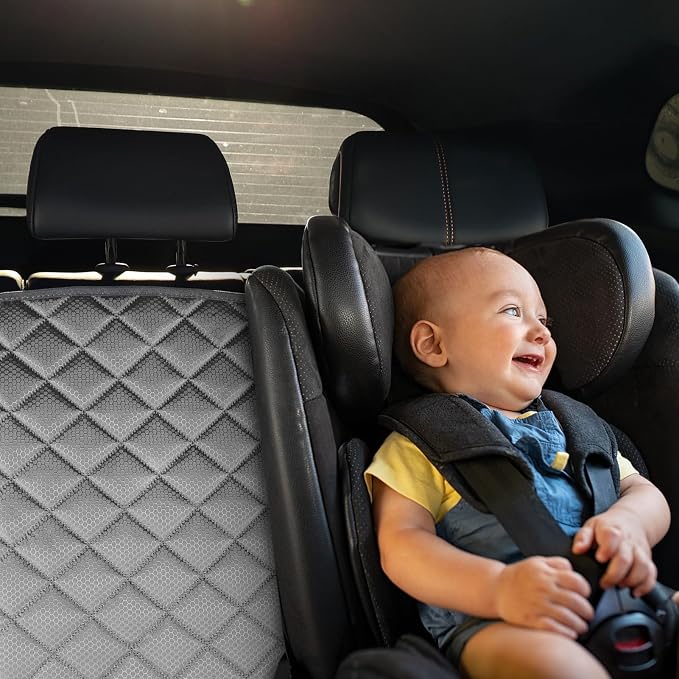 Pet Car Seat Protector