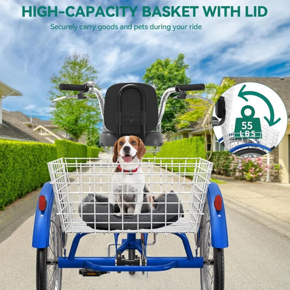 Adult 3 Wheel Tricycle Bike, Cargo Bicycle with Basket S65d1a2d4e33a4d63b7401eb2f647efd74.jpg_960x960_bd389974-7271-4d9e-91e8-801a2c934da7