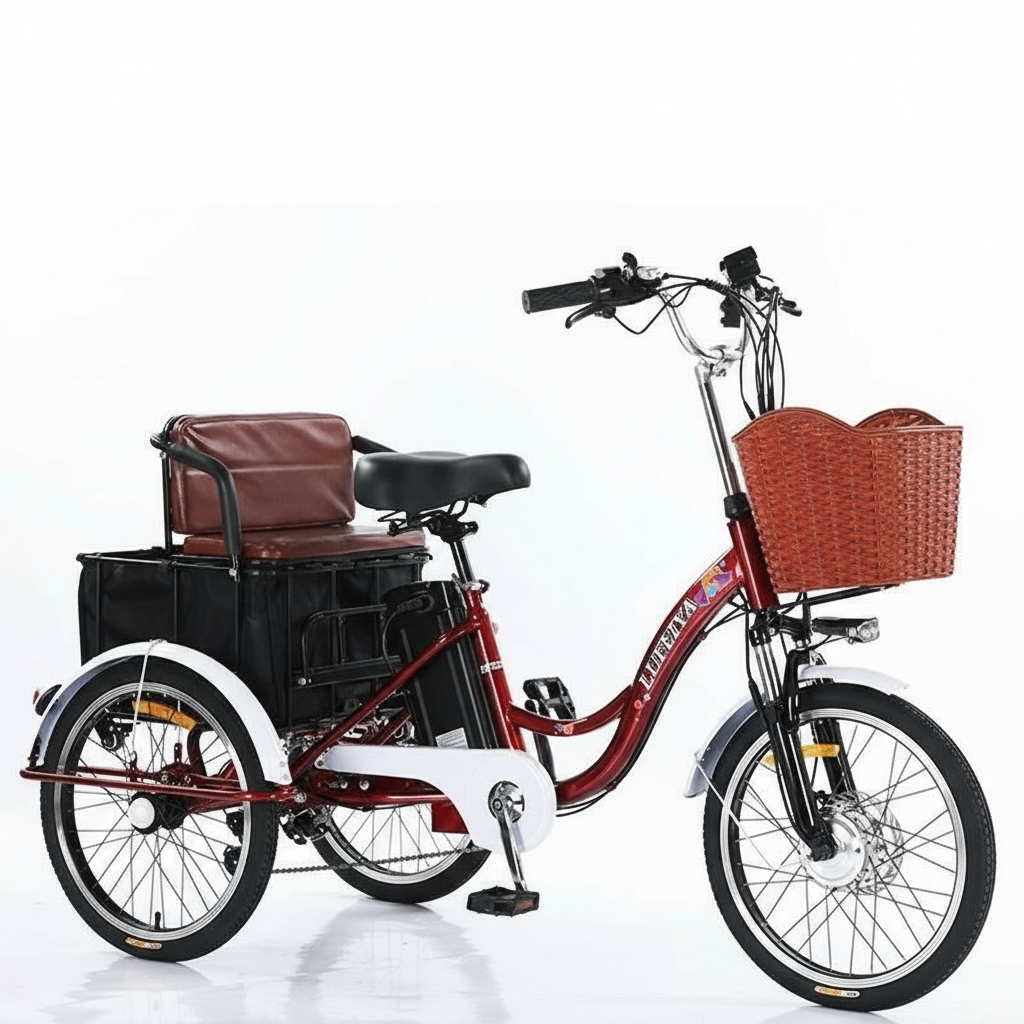 350W 48V Adult 3 Wheel Electric Tricycle, Cargo E-Bike with Basket, 20 Inch, 40km Range gemini-2.5-flash-image-preview_nano-banana__dear_usky_mujhe_nich
